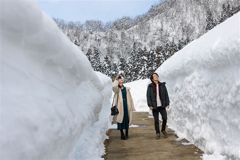 看護師 求人 新潟県 - 雪国の医療現場で輝く未来