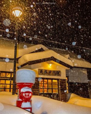 札幌市 介護 求人 ～ 雪の街で見つける温もりと未来